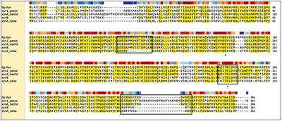 Expression, Characterization and Its Deinking Potential of a Thermostable Xylanase From Planomicrobium glaciei CHR43